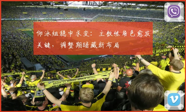 仰泳组稳中求变：主教练角色愈发关键，调整期暗藏新布局