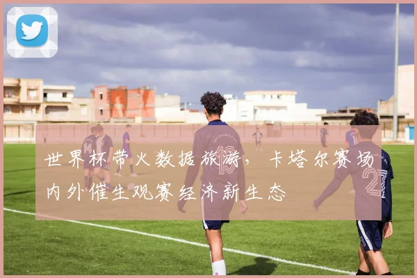 世界杯带火数据旅游，卡塔尔赛场内外催生观赛经济新生态