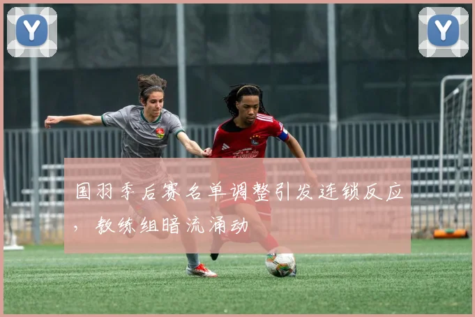 国羽季后赛名单调整引发连锁反应，教练组暗流涌动