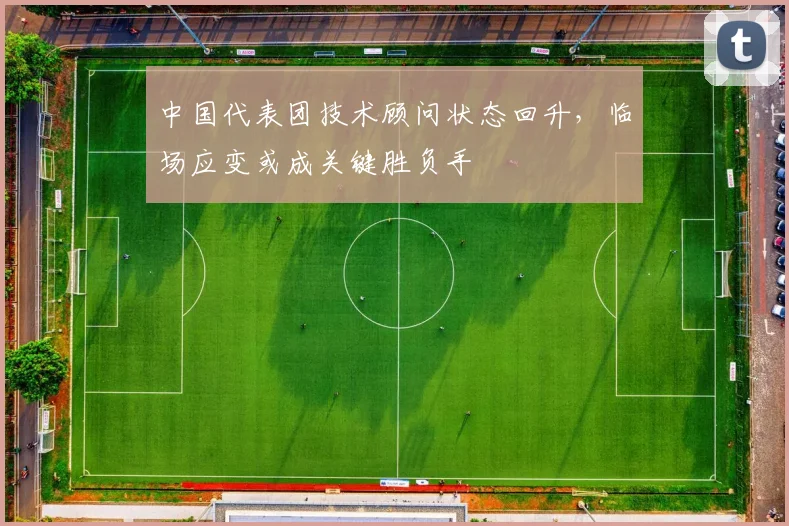 中国代表团技术顾问状态回升，临场应变或成关键胜负手